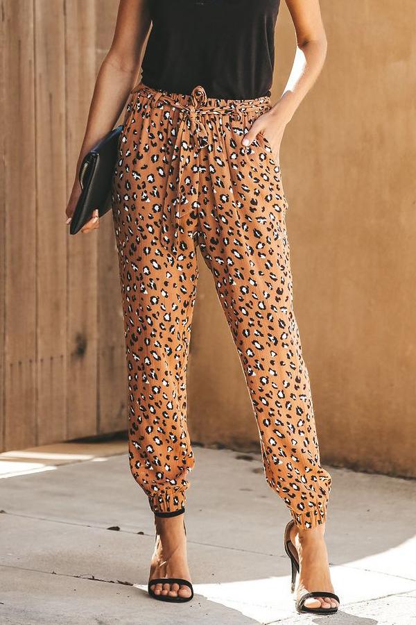 Leopard Straight Belt Pants Pants 5201904110309 